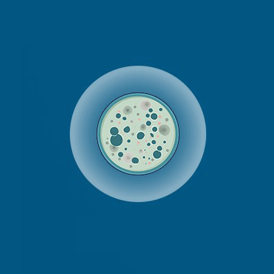 硒代氨基酸造就基