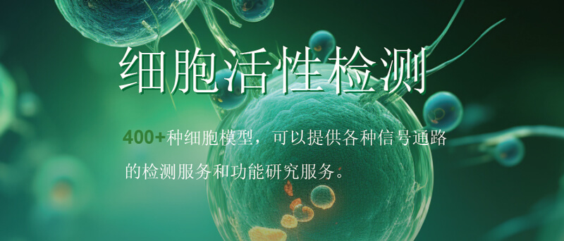 J9集团细胞活性检测.jpg