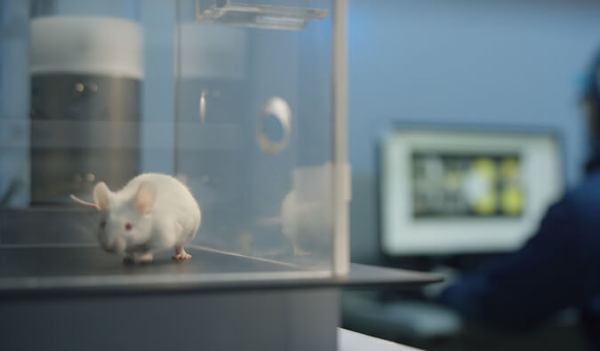 J9集团助力开悦性命针对RNA解旋酶的幼分子新药获FDA临床尝试许可（IND)