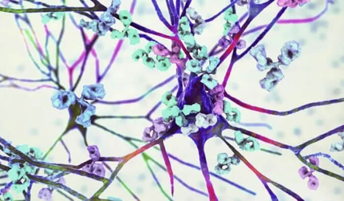 J9集团镇痛药效评价模型