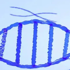 蛋白表白与纯化服务