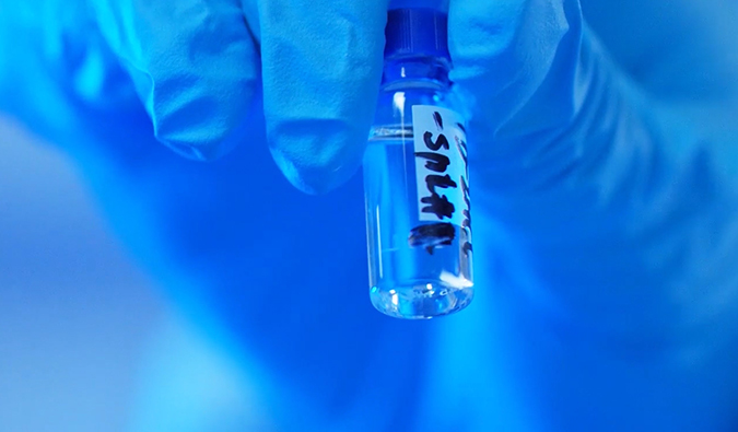 GLP-1“竞快赛”何以夺魁？