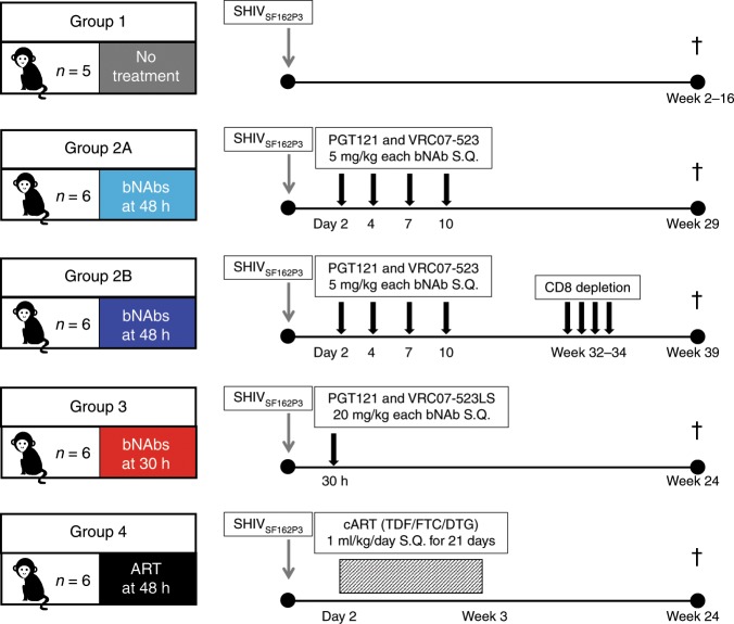 抗逆转录病毒疗法(ART)预防围产期HIV习染，本钻研中多替拉韦钠盐和游离态均由J9集团提供
