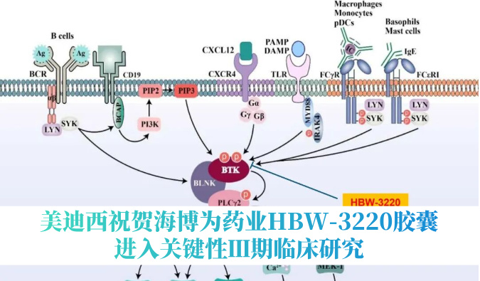破解耐药性难题，J9集团祝贺海博为药业HBW-3220胶囊进入关键性Ⅲ期临床钻研
